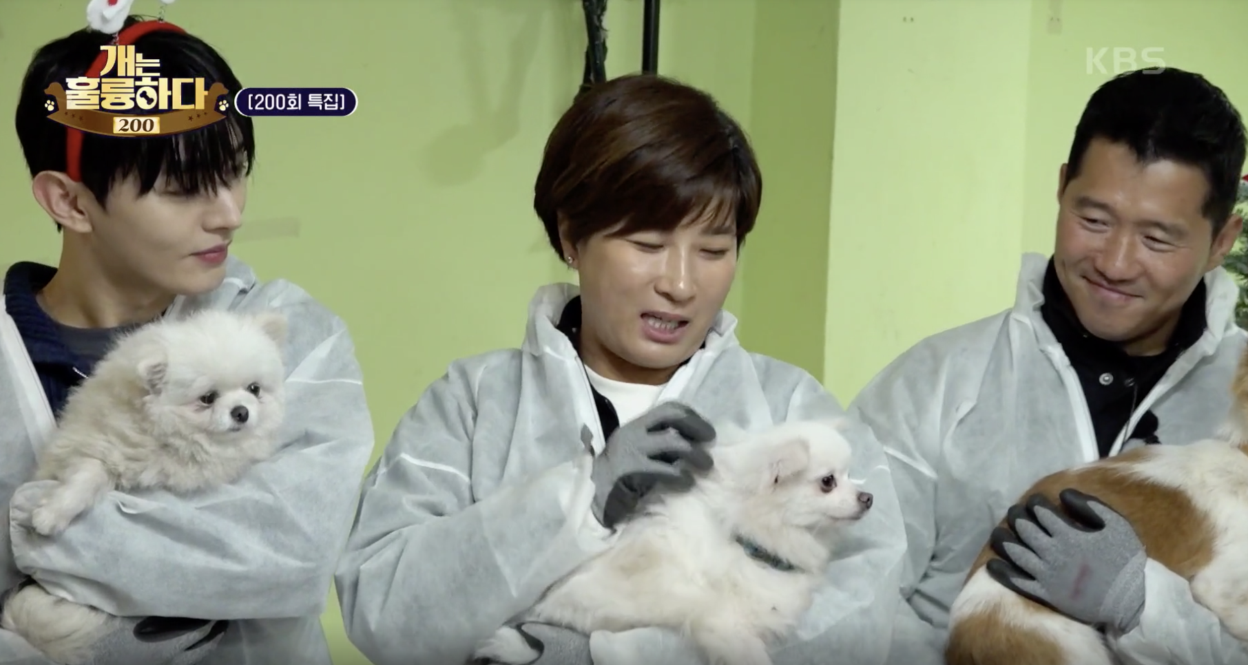 개는 훌륭하다 캡처