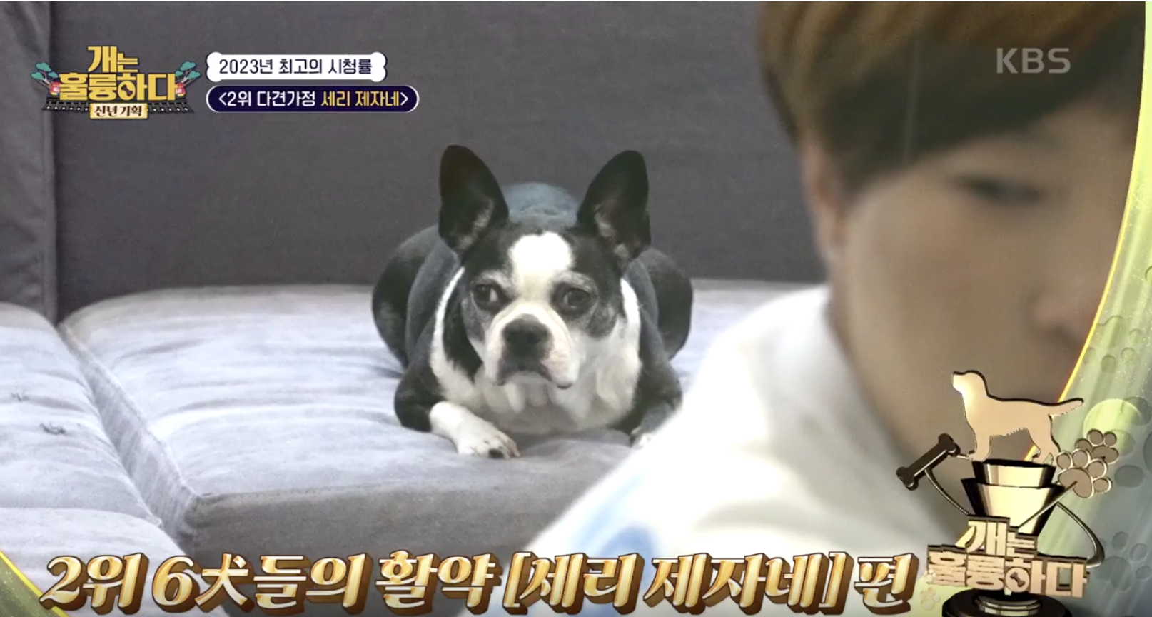 개는 훌륭하다 캡처