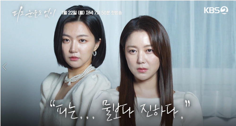 KBS 2TV 새 일일드라마 ‘피도 눈물도 없이’