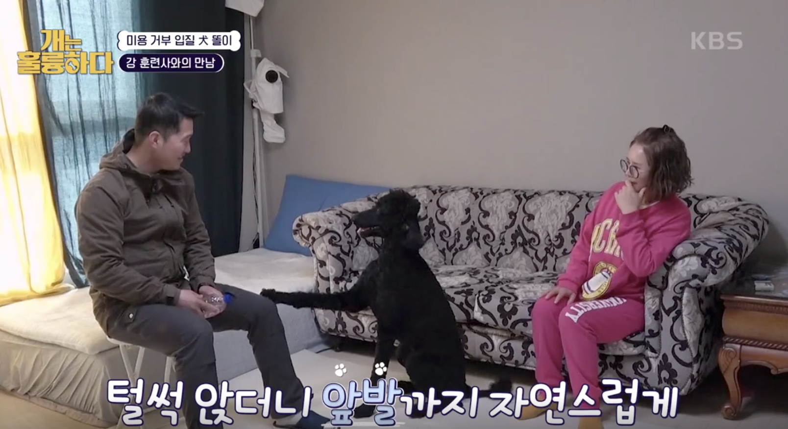 개는 훌륭하다 캡처