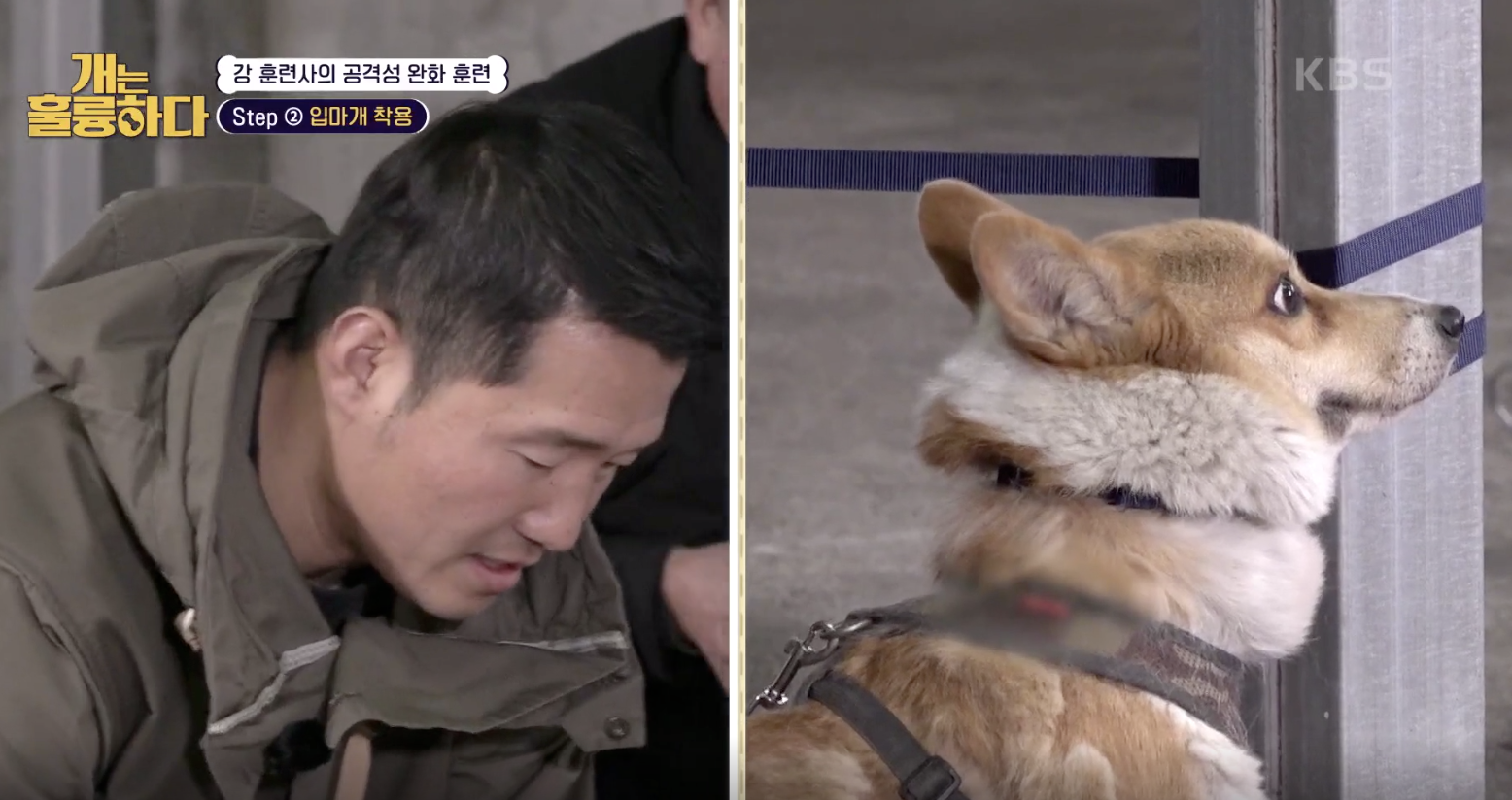 개는 훌륭하다 캡처