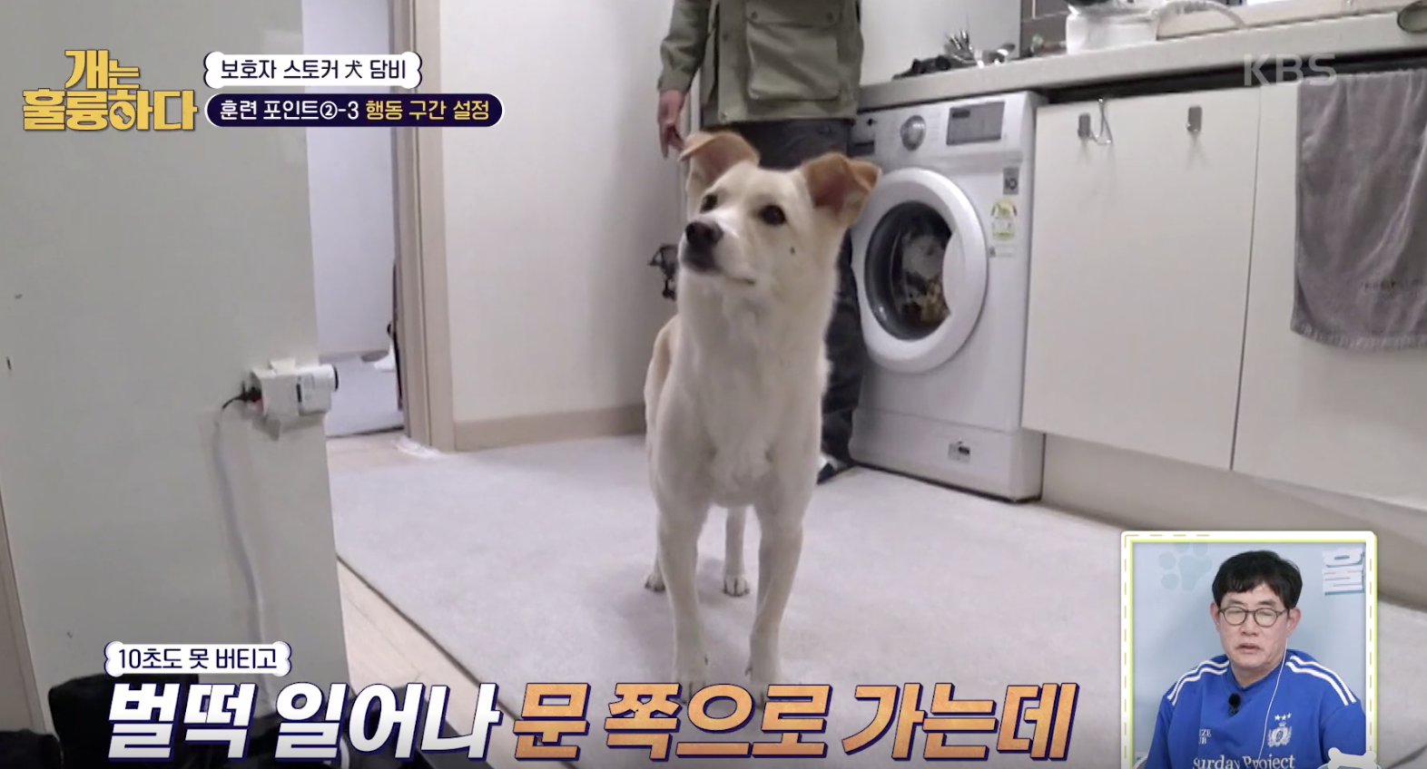 개는 훌륭하다 캡처