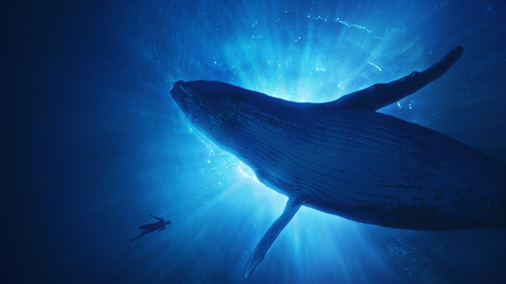  ‘극장판 고래와 나’