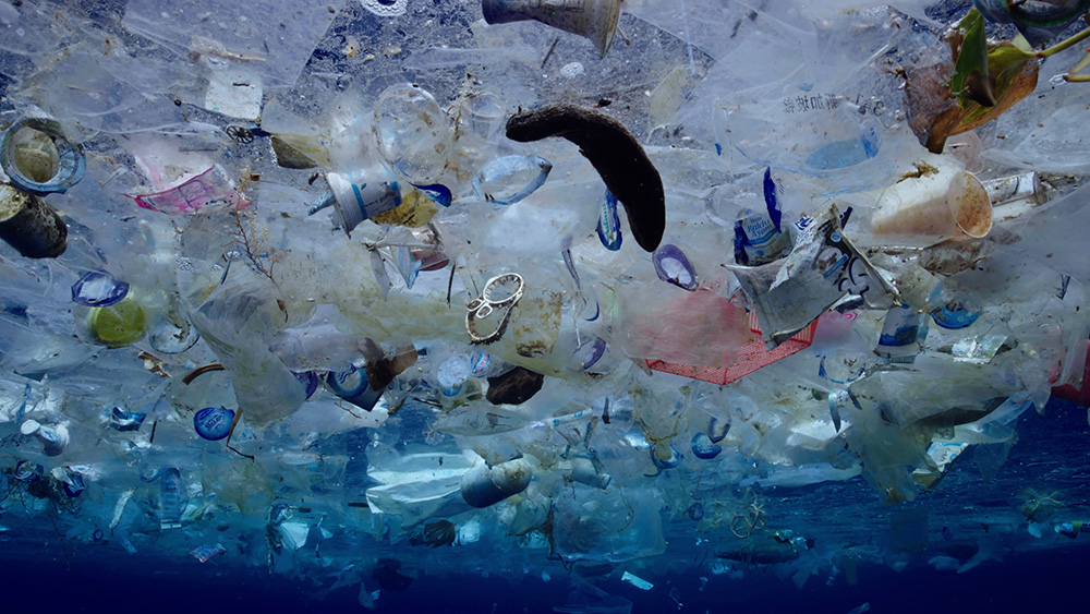  ‘극장판 고래와 나’