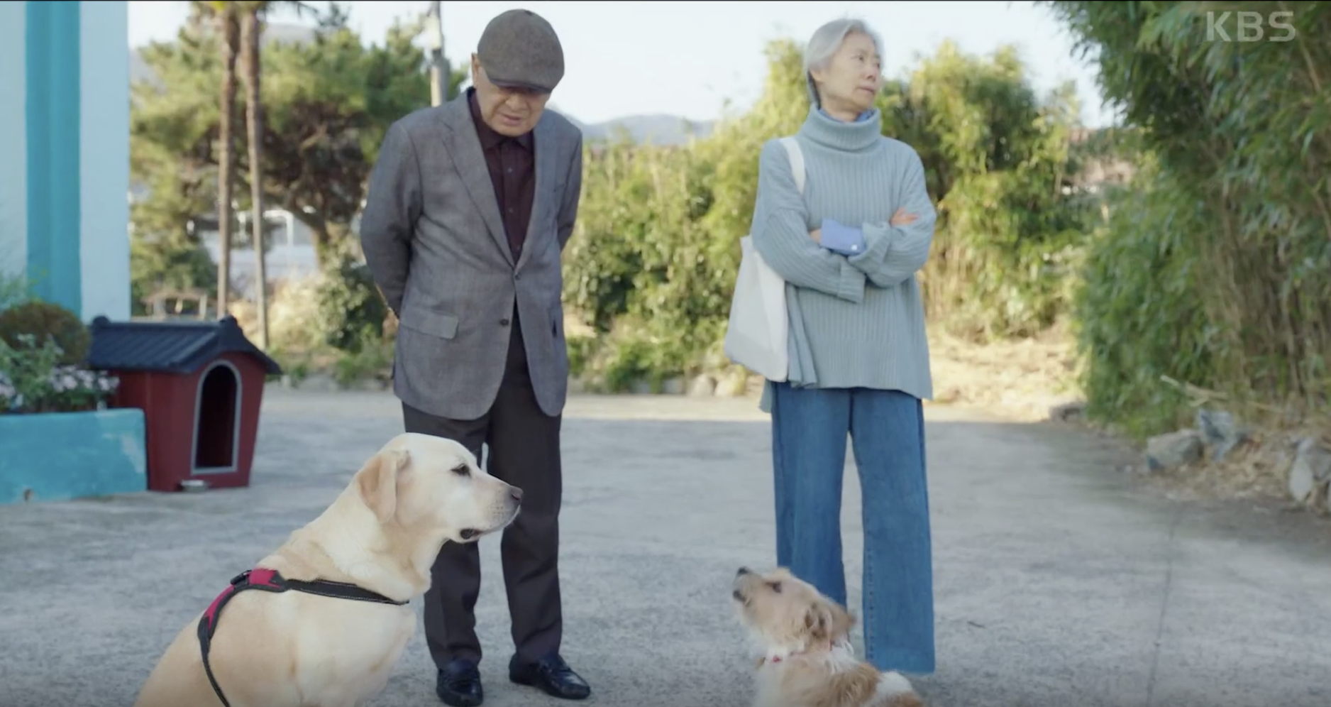 드라마 개소리 캡처