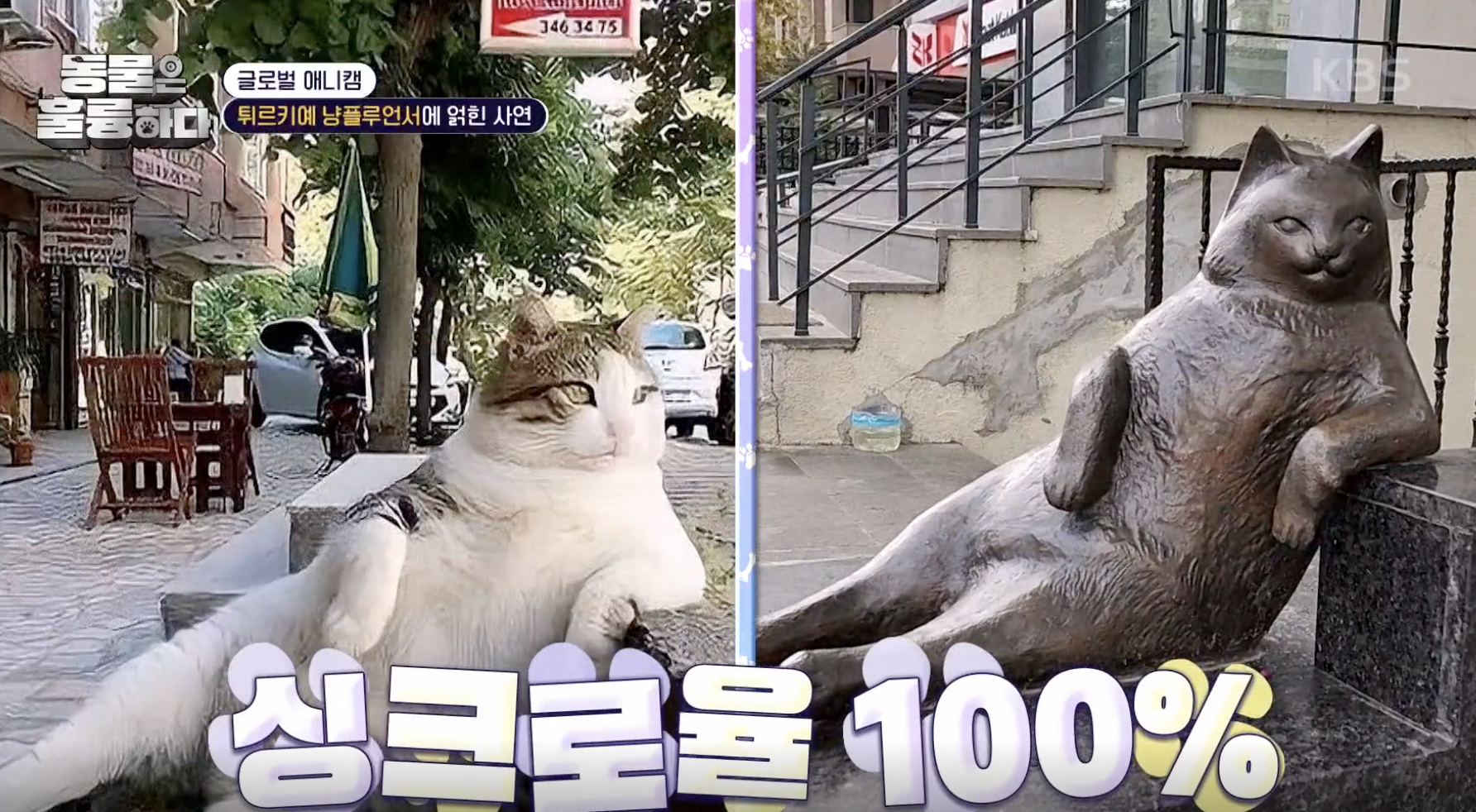 동물은 훌륭하다 캡처