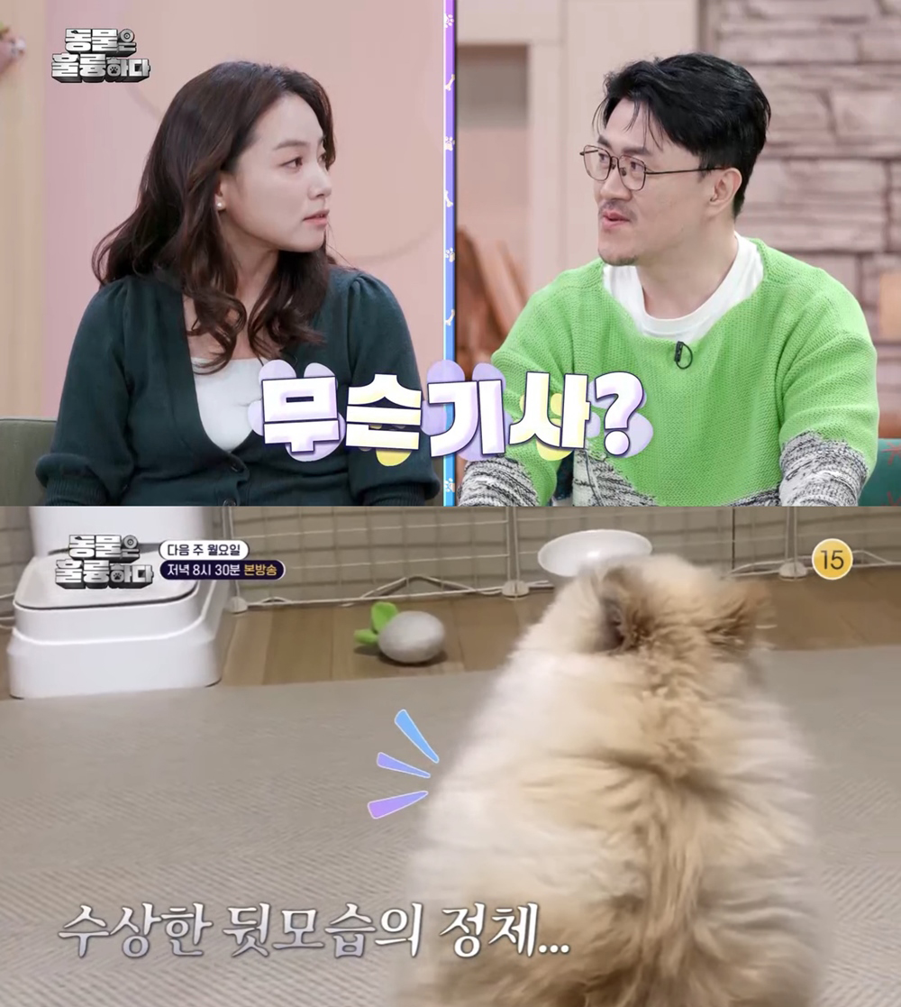  '동물은 훌륭하다'