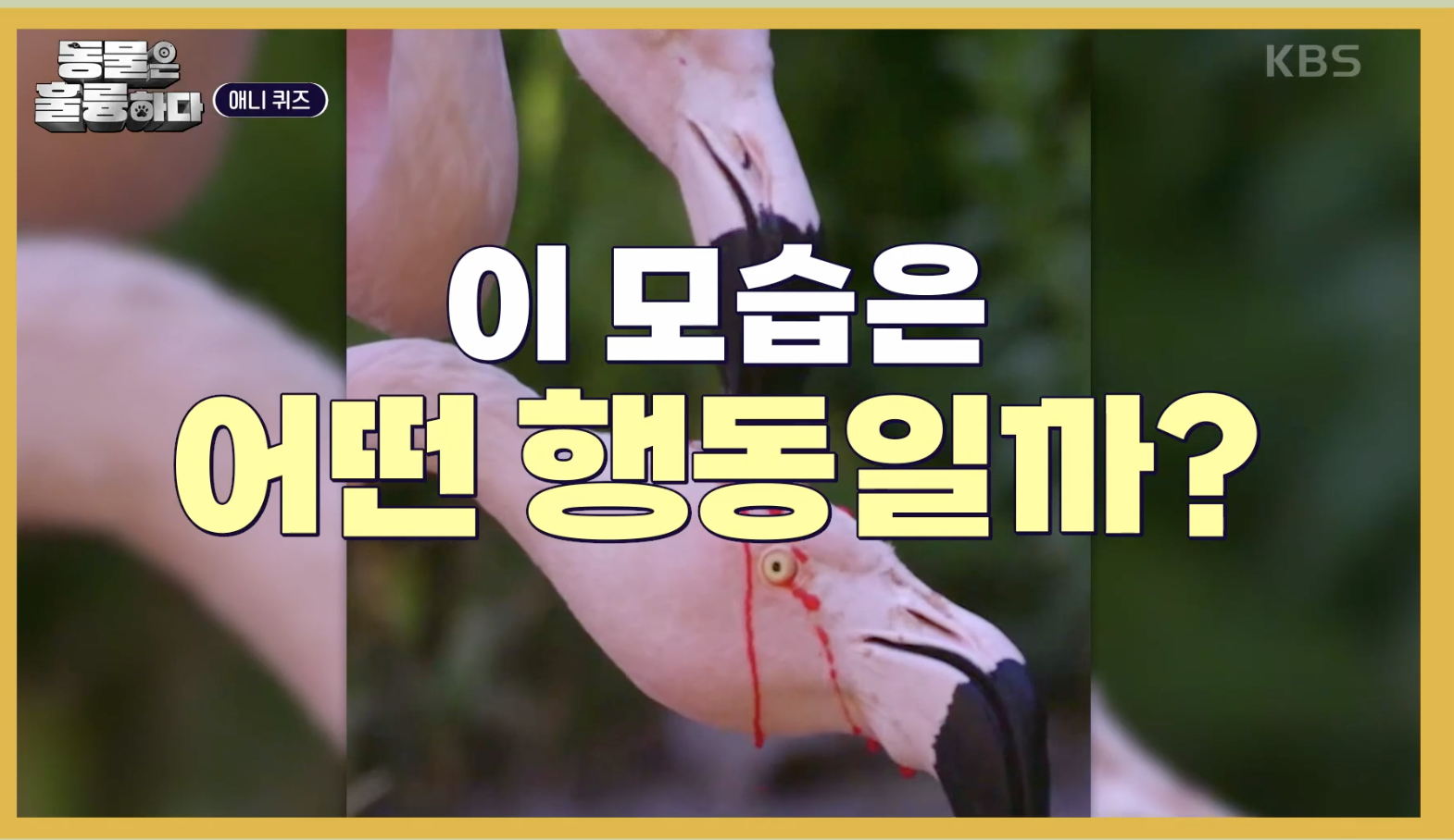 동물은 훌륭하다 캡처