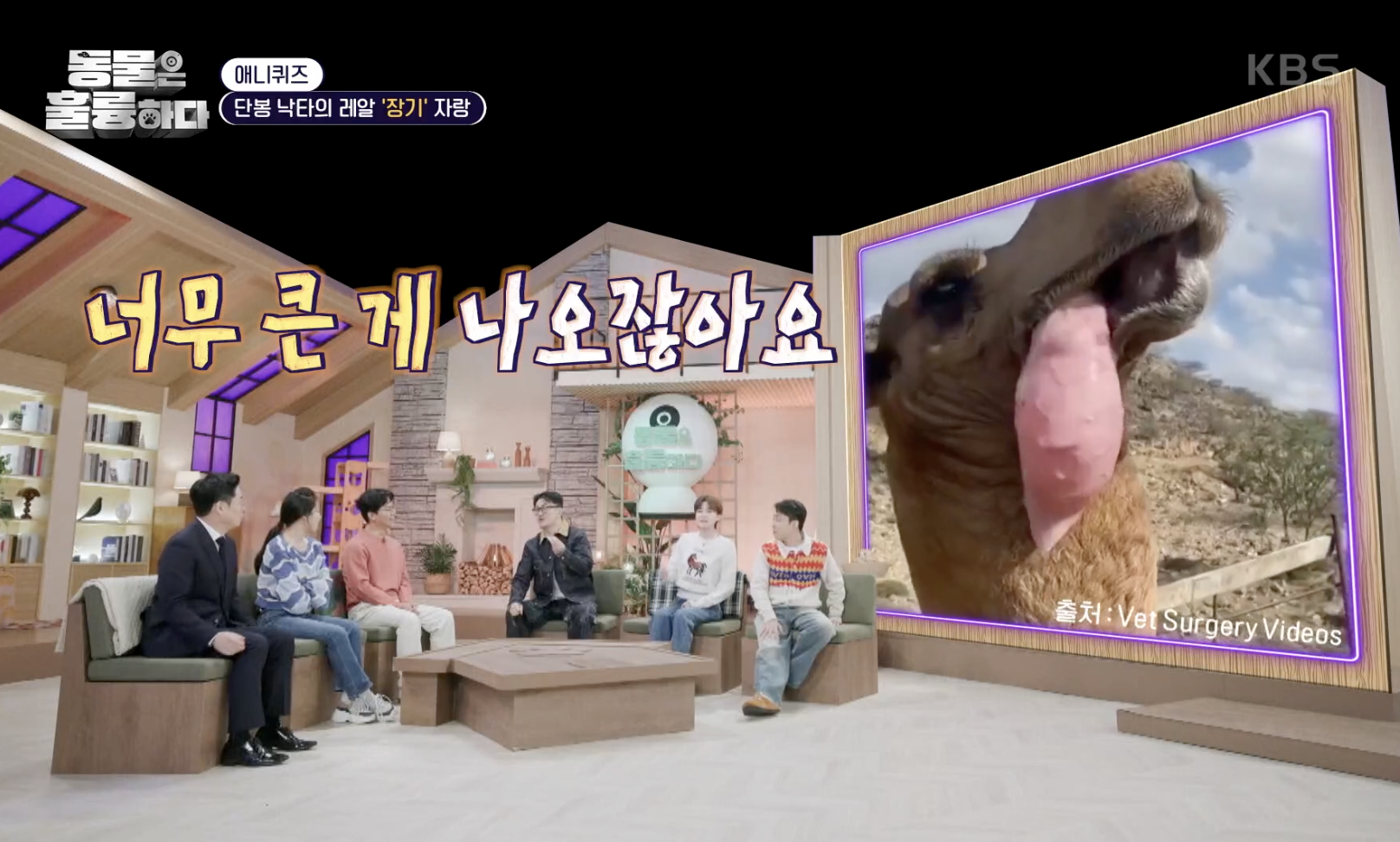 동물은 훌륭하다 캡처