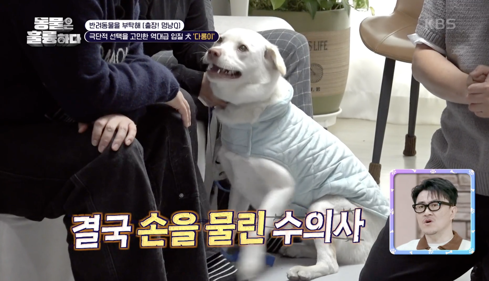 동물은 훌륭하다 캡처