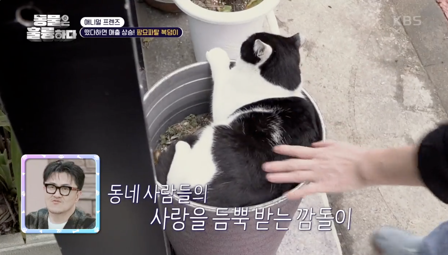 동물은 훌륭하다 캡처