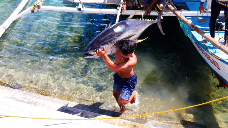 걸어서 세계속으로