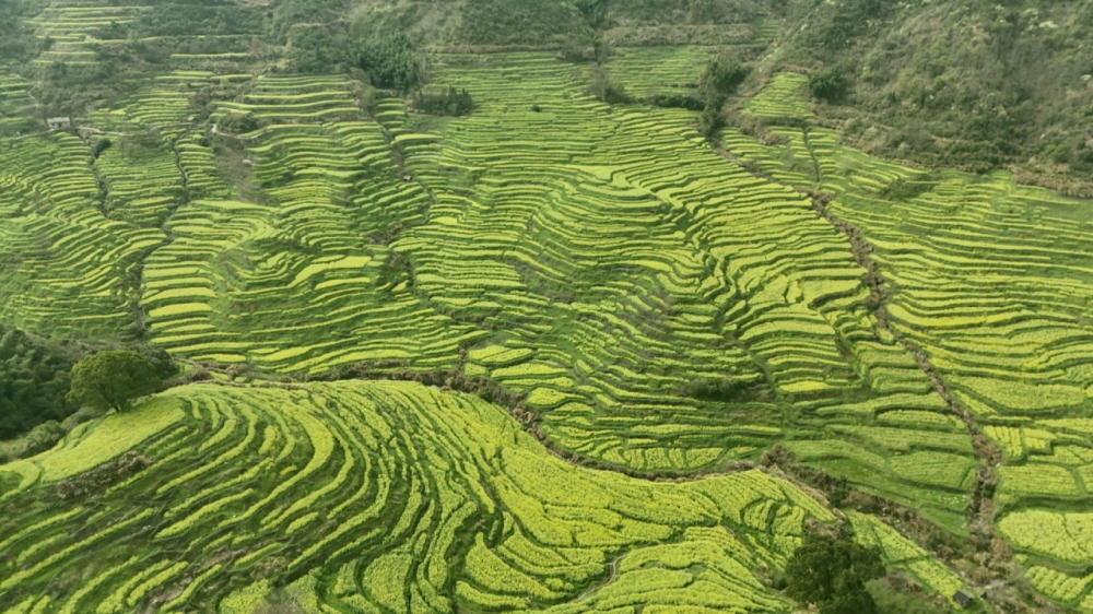  EBS <세계테마기행>