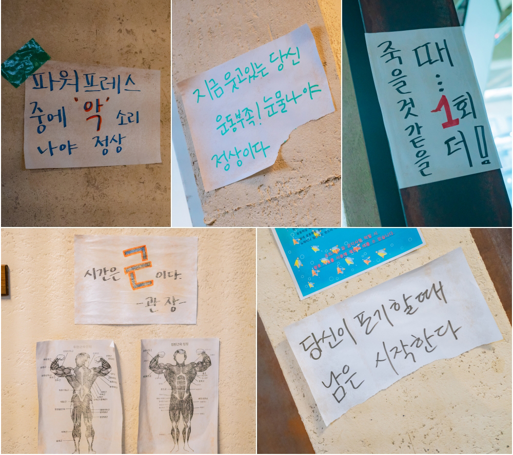 ‘24시 헬스클럽’