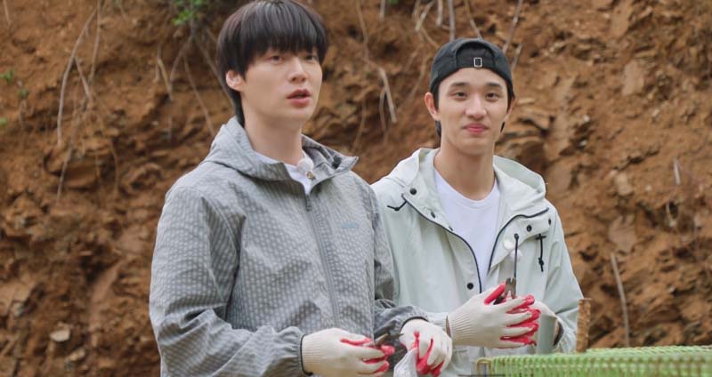 가는정 오는정 이민정