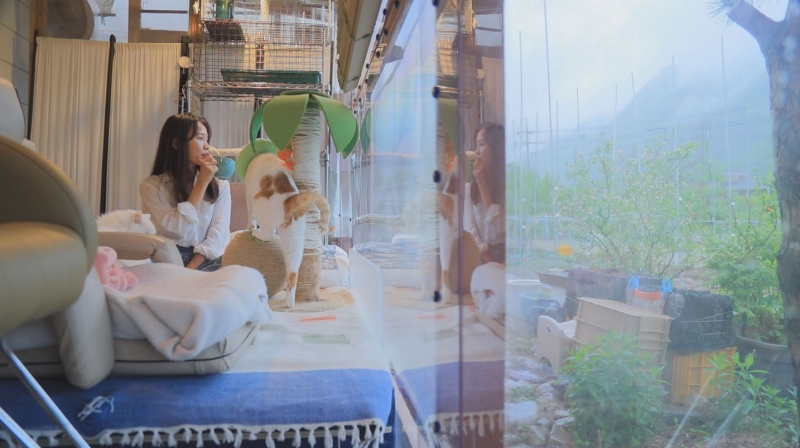 EBS '건축탐구 집'