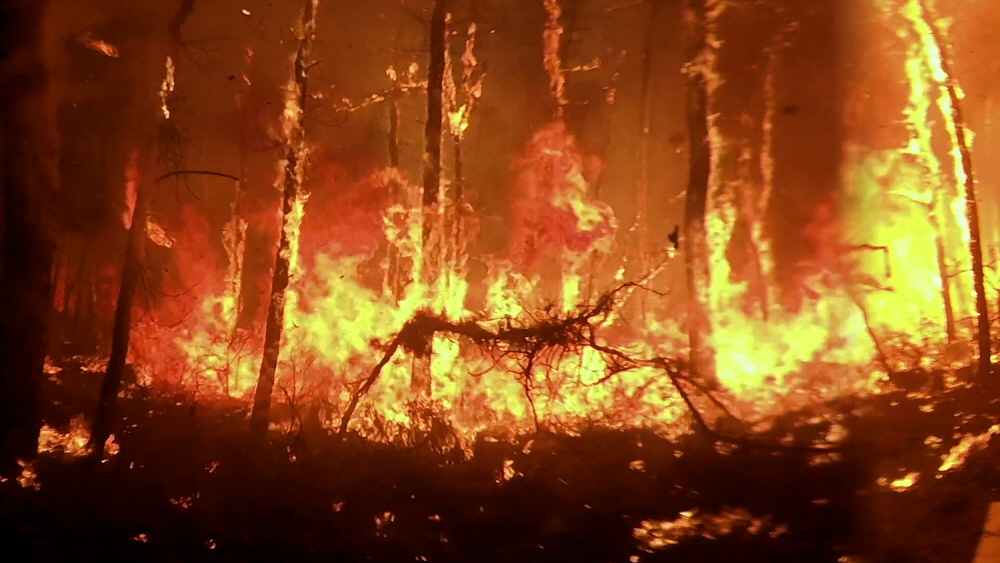 EBS '환경 특집 - 기후 재앙'