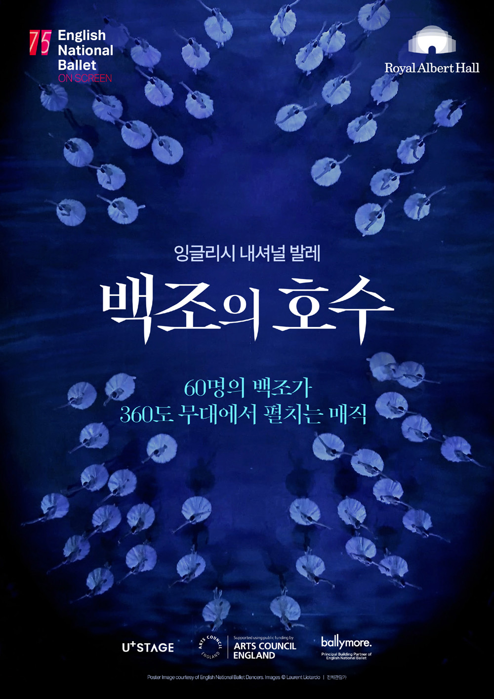 잉글리시 내셔널 발레 ‘백조의 호수’