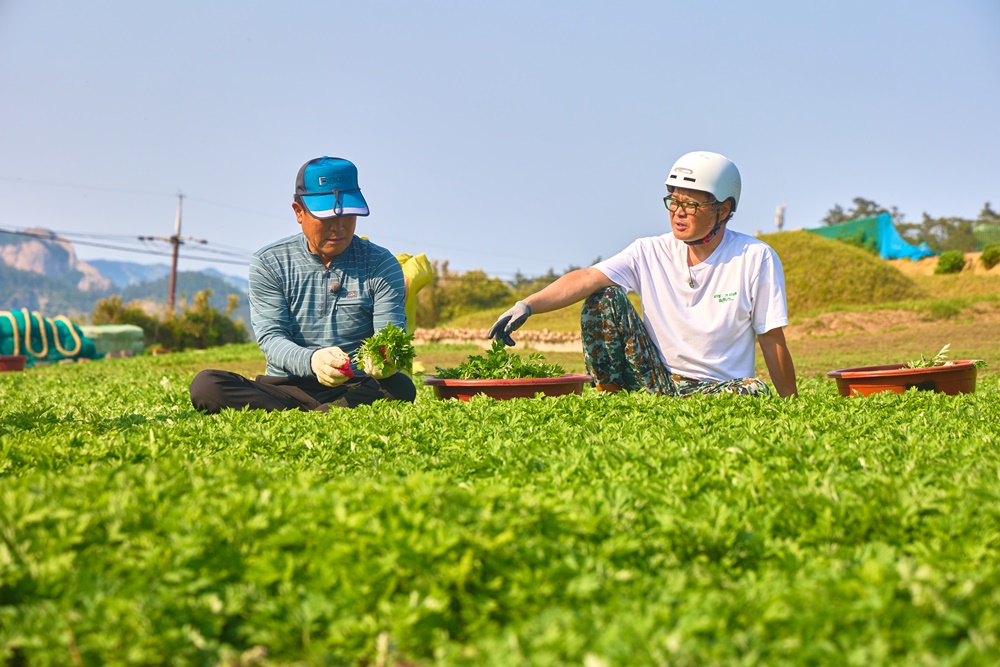 제철남자