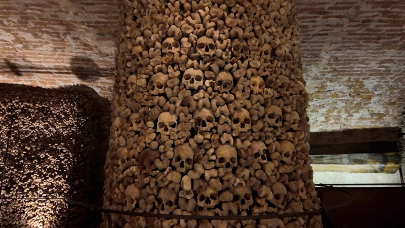 걸어서 세계속으로