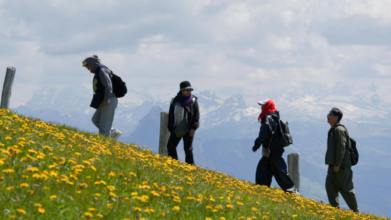 박원숙의 같이 삽시다