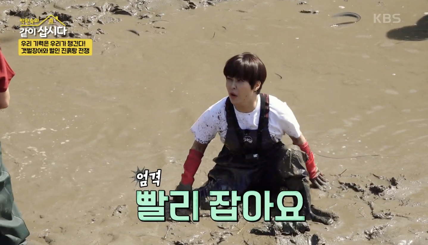 박원숙의 같이 삽시다 캡처