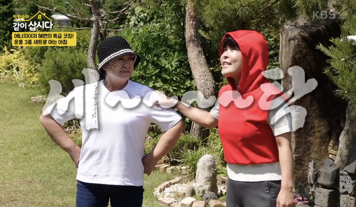 박원숙의 같이 삽시다 캡처