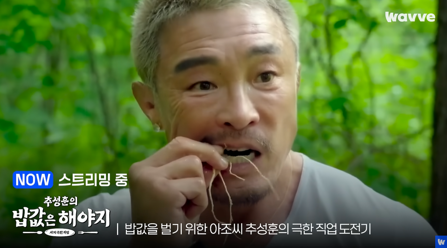  ‘추성훈의 밥값은 해야지’