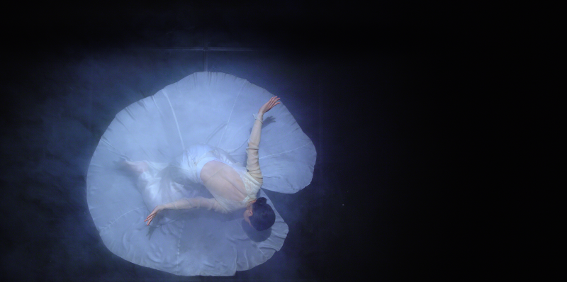 KBS 대한민국 국가유산 다큐멘터리  '국가유산순례 드오'