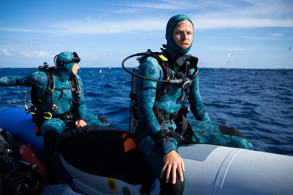 버티 그레고리의 돌핀 클로즈업