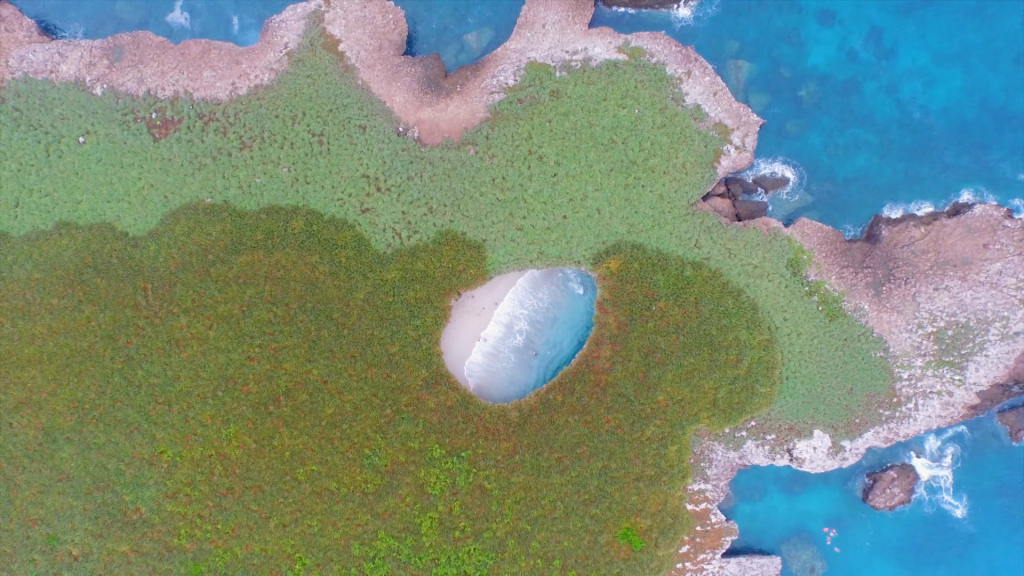  EBS [세계테마기행]