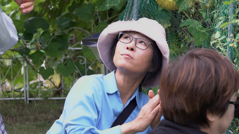 박원숙의 같이 삽시다