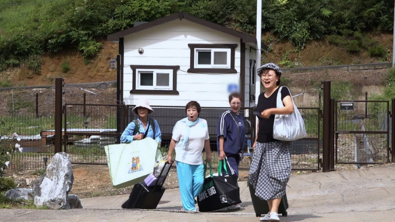 박원숙의 같이 삽시다