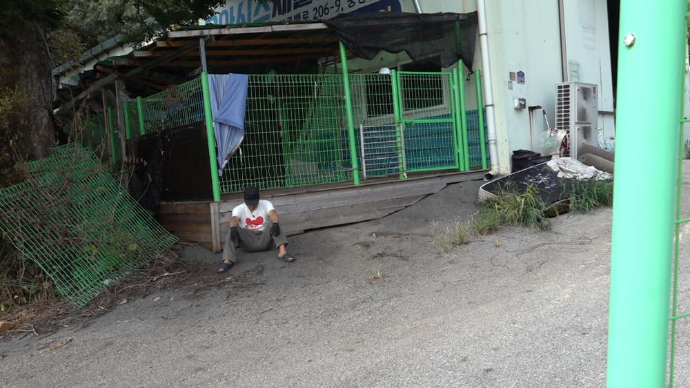  세상에 나쁜 개는 없다