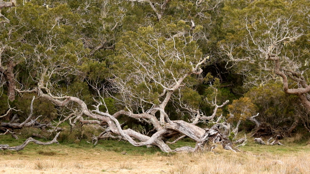 EBS <세계테마기행>