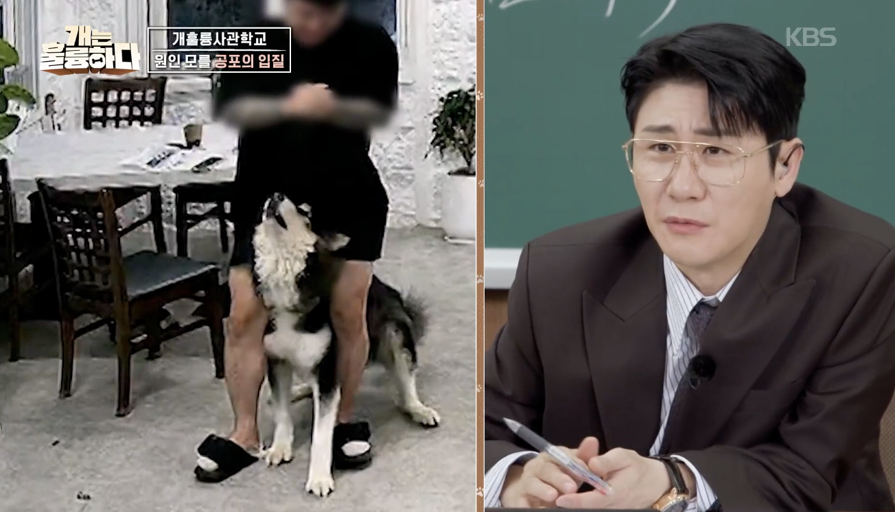 개는 훌륭하다 캡처