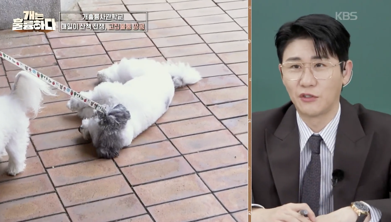 개는 훌륭하다 캡처