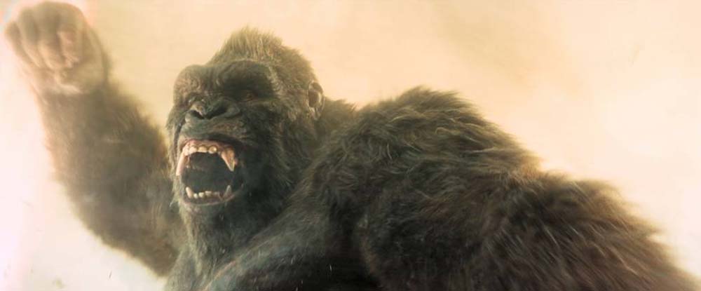 모나크: 레거시 오브 몬스터즈