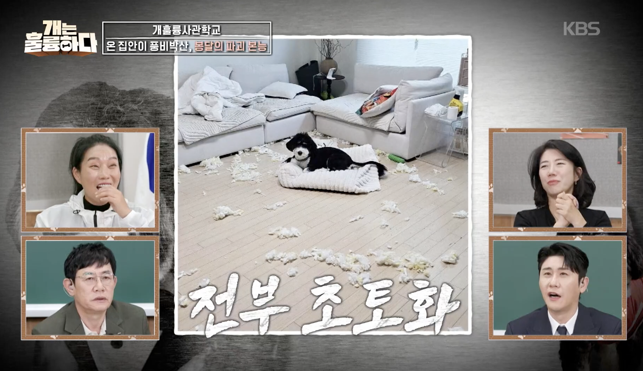 개는 훌륭하다 캡처