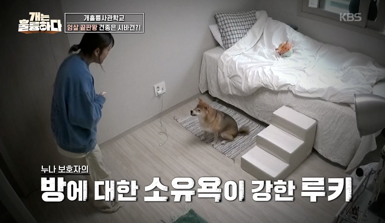 개는 훌륭하다 캡처