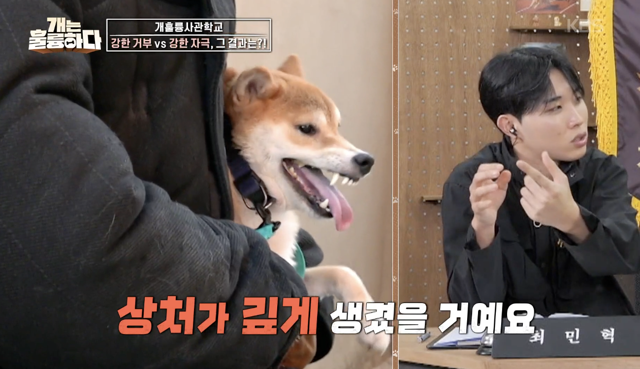개는 훌륭하다 캡처