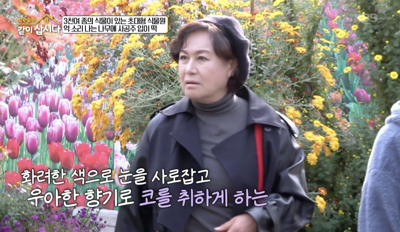 박원숙의 같이 삽시다 캡처