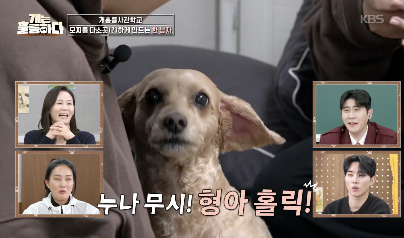 개는 훌륭하다 캡처