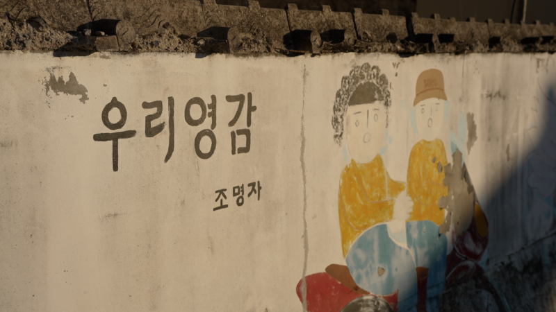 특별하지 않아서 좋았다