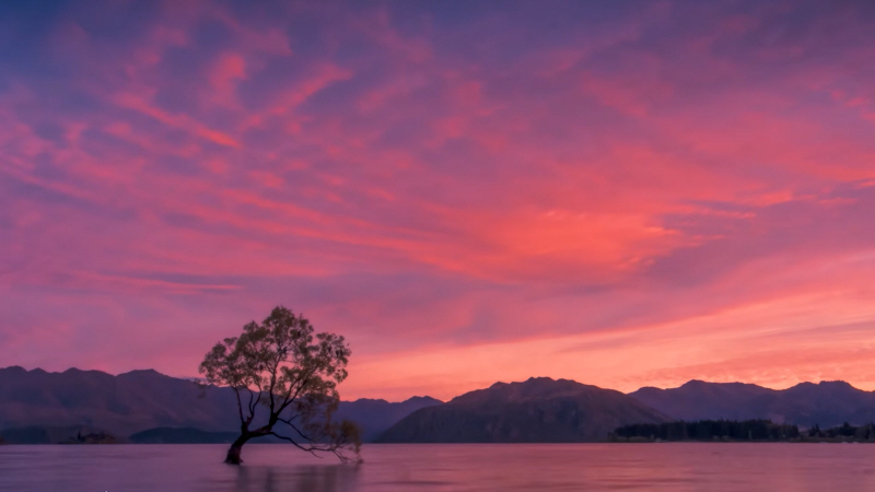 걸어서 세계속으로