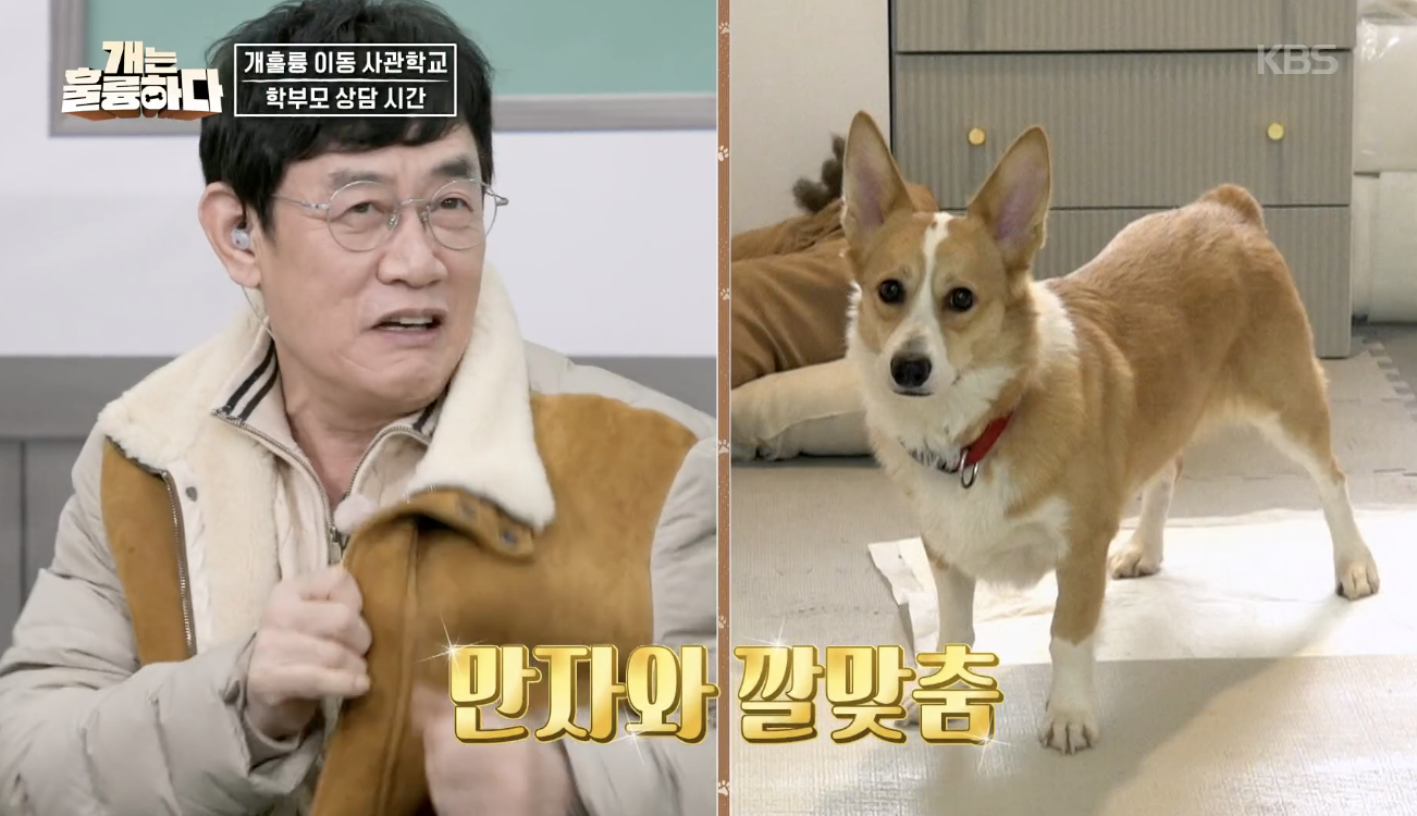 개는 훌륭하다 캡처