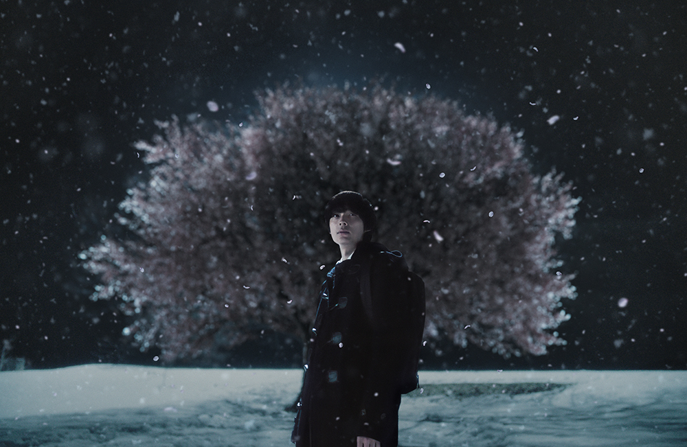 초속 5센티미터