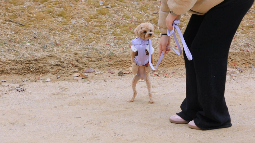  EBS1 <세상에 나쁜 개는 없다>