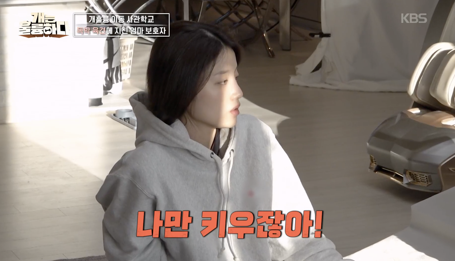 개는 훌륭하다 캡처