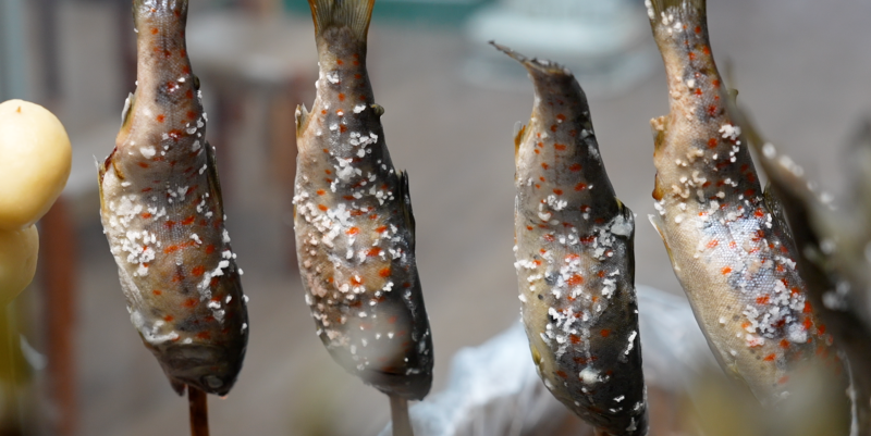 EBS 세계테마기행